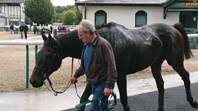 Notre pronostic était le seul à vous donner le tiercé ce lundi à Fontainebleau