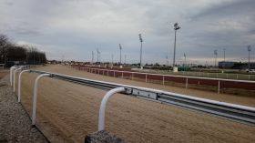 Nos Chevaux du Jour en grande forme