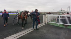 Victoire de notre Base à 9/1 jeudi à Vincennes