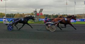 Les bénéfices de notre Cheval du Jour