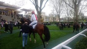 Le gagnant du quinté pour i-bénéfices