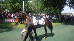 Le gagnant du quinté pour i-bénéfices ce lundi