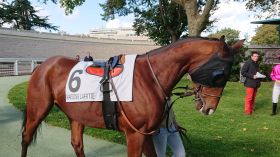 Victoire de notre Outsider à 13,00 euros