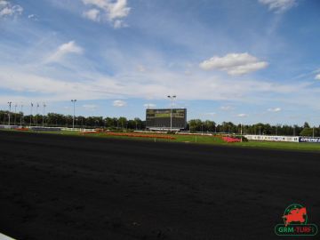 Le Prix d'Amérique sur l'hippodrome de Vincennes