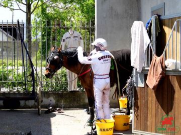 Grand National du Trot