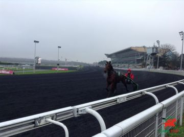 Hippodrome de Paris-Vincennes