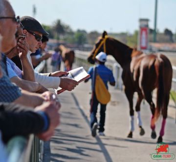 Jouer aux courses