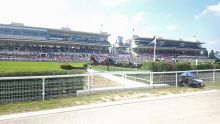 La rivière des tribunes à Auteuil