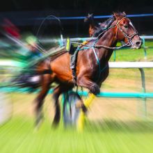 Pronostics turf