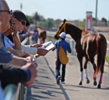 Jouer aux courses