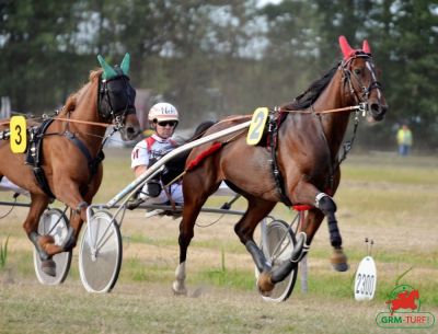 Hippodrome de Dannero (Suède)