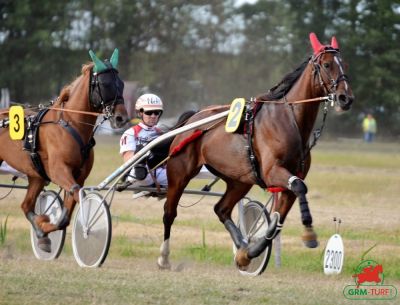 Hippodrome de Dannero (Su&egrave;de)