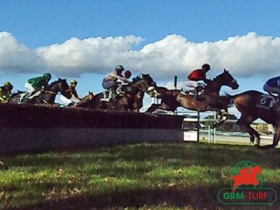 Hippodrome de Cork (Irlande)