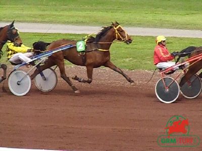 Hippodrome de Farjestad (Suède)