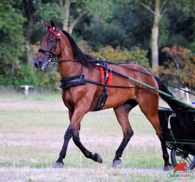 Hippodrome de Vaggeryd (Su&egrave;de)