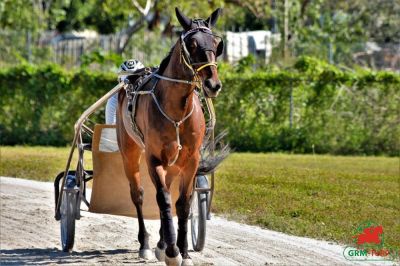 Hippodrome de R&auml;ttvik (Su&egrave;de)