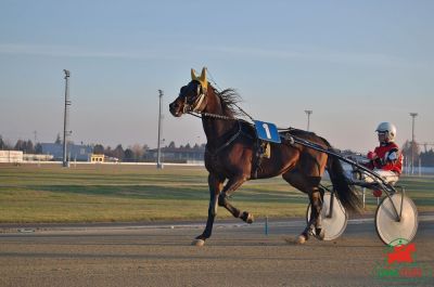 Hippodrome de Jagersro (Su&egrave;de)