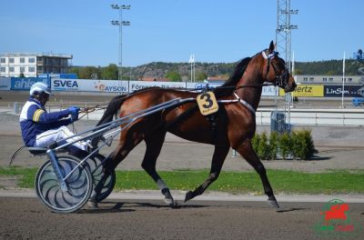 Hippodrome de Bergsaker (Su&egrave;de)