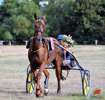 Hippodrome de Romme (Su&egrave;de)