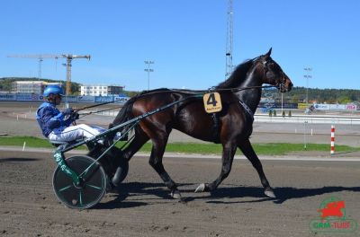 Hippodrome de Aby (Su&egrave;de)