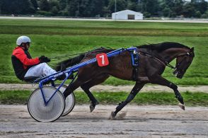 Hippodrome de &Ouml;rebro