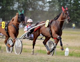 Hippodrome de Dannero (Su&egrave;de)