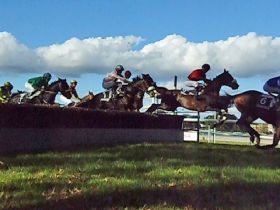 Hippodrome de Cork (Irlande)