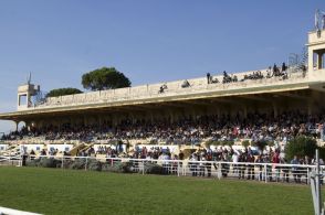 Hippodrome de Salon-de-provence