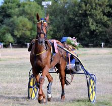 Hippodrome de Romme (Su&egrave;de)